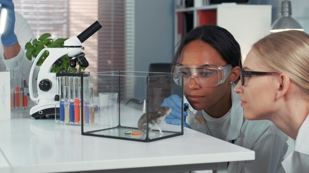 female-scientists-showing-amazement-providing-experiment_178151-1217.jpg