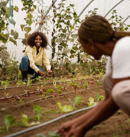 side-view-women-working-together_23-2149894680.jpg